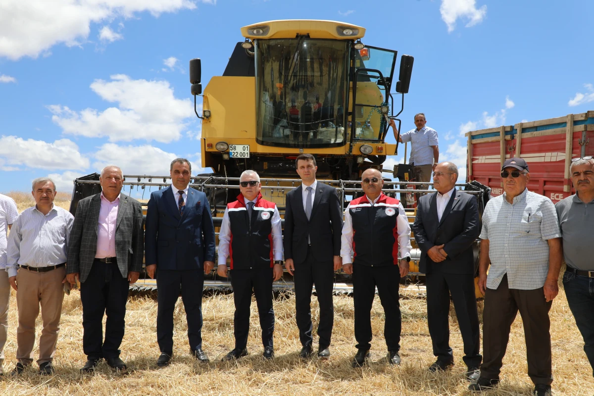 Gaz Arıtma Tesisi
