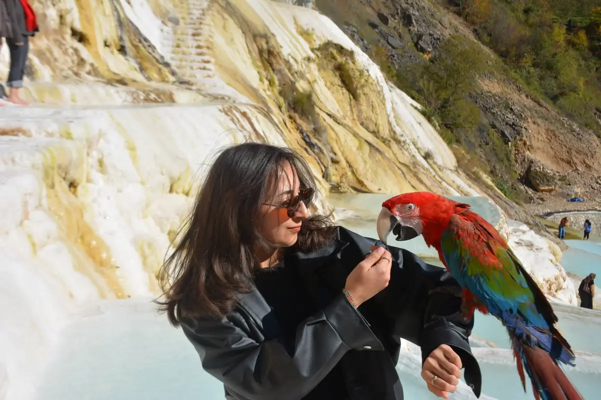 Karadeniz Tanıtım Turu — Akıncılar Belediyesi