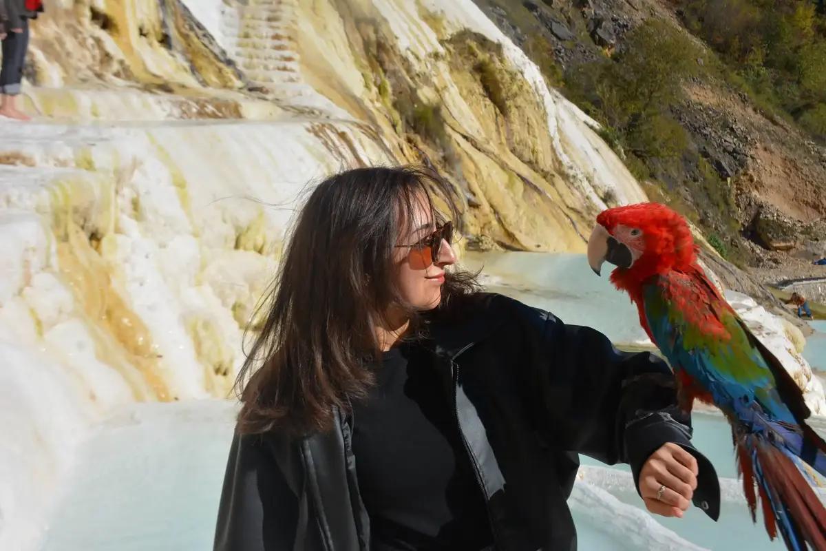 Karadeniz Tanıtım Turu — Akıncılar Belediyesi