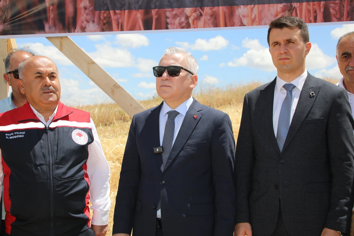İlk Hasat Etkinliği